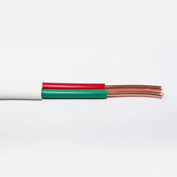 創(chuàng)興BVVb 2×6電線電纜護(hù)套線 價(jià)格、圖片與品牌全解析